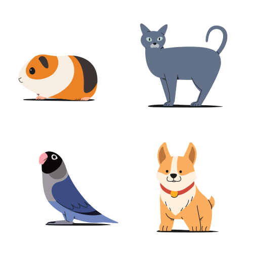 Animal & Pets Illustrations